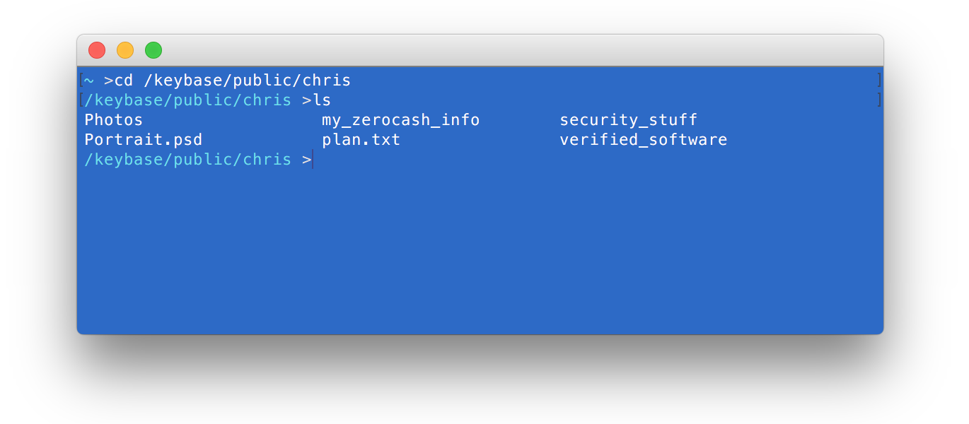 a terminal glimpse into /keybase/public/chris